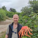 ���������� ������, ���� ������� �������, 51 ���, ������������ ��� ������, ���������