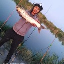 ���������� ������, ���� ������� ������, 37 ���, ������������ ��� ������, ����� � ���������, c�������� ���������