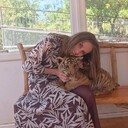  ,   , 29 ,   