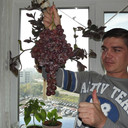 ���������� ������, ���� ������� ������, 48 ���, ������������ ��� ������, ����� � ���������, c�������� ���������, ���������