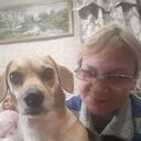 ���������� �������, ���� ������� �������, 56 ���, ������������ ��� ������, ����� � ���������