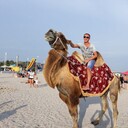 ���������� ����, ���� ������� �����, 49 ���, ������������ ��� ������, ����� � ���������, c�������� ���������