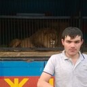 ���������� ����, ���� ������� ��������, 36 ���, ������������ ��� ������, ����� � ���������