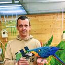 ���������� �������, ���� ������� �����, 33 ����, ������������ ��� ������, ����� � ���������, c�������� ���������