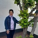 ���������� �������, ���� ������� ������, 70 ���, ������������ ��� c�������� ���������, ���������