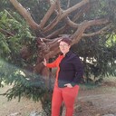  Sint-Truiden,   , 27 ,   c , 