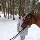 ���������� �����, ���� ������� �����, 40 ���, ������������ ��� ������, ����� � ���������, c�������� ���������, ���������