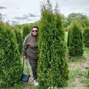 ���������� �������, ���� ������� ��������, 69 ���, ������������ ��� c�������� ���������, ���������