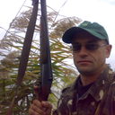   ,   , 51 ,   