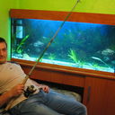 ���������� ������-��-����, ���� ������� �������, 38 ���, ������������ ��� ������, ����� � ���������, c�������� ���������