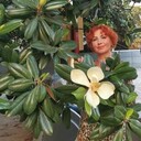 ���������� �����������, ���� ������� ����, 54 ����, ������������ ��� ����� � ���������