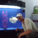  ,   , 55 ,   ,   , c 