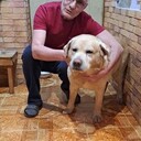  ,   , 60 ,   ,   , 