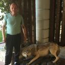 ���������� ���������, ���� ������� ����, 46 ���, ������������ ��� ������, ����� � ���������, c�������� ���������, ���������