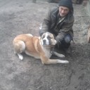 ���������� �����������, ���� ������� ��������, 61 ���, ������������ ��� ������, c�������� ���������, ���������