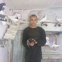  ,   , 37 ,     , c , 