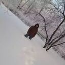 ���������� ���������� �����, ���� ������� �����, 31 ���, ������������ ��� ����� � ���������, c�������� ���������, ���������