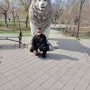  ,   , 45 ,   ,   , c , 