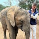 ���������� �������, ���� ������� ������, 41 ���, ������������ ��� ������, ����� � ���������, c�������� ���������, ���������