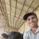  ,   Online, 24 ,   ,   