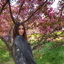 ���������� ����, ���� ������� ����, 23 ����, ������������ ��� ������, ����� � ���������, c�������� ���������, ���������