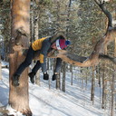  ,   , 32 ,   ,   , c 