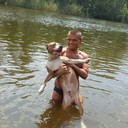  ,   , 38 ,   