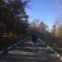  ,   , 31 ,   ,   , c , 