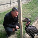  ,   Roma, 47 ,   ,   , c , 
