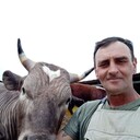 ���������� ������-��-����, ���� ������� �����, 54 ����, ������������ ��� c�������� ���������, ���������