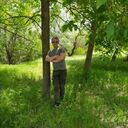 ���������� ���������, ���� ������� ���������, 42 ����, ������������ ��� ������, ����� � ���������, c�������� ���������, ���������