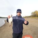 ���������� ����, ���� ������� ������, 40 ���, ������������ ��� ������, ����� � ���������