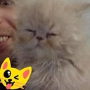 ���������� ����������, ���� ������� �����, 40 ���, ������������ ��� ����� � ���������, c�������� ���������