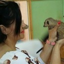  ,   , 42 ,   ,   , c 