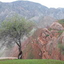 ���������� ������, ���� ������� � � � �, 36 ���, ������������ ��� ������, ����� � ���������