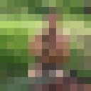  ,   , 43 ,     , c 