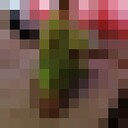 ���������� ���������, ���� ������� �����, 45 ���, ������������ ��� ������, ����� � ���������