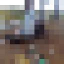 �� �������