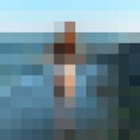 ���������� ����, ���� ������� ���������, 32 ����, ������������ ��� ������, ����� � ���������, c�������� ���������