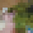 ���������� ����-�����������, ���� ������� ����, 46 ���, ������������ ��� ������, ����� � ���������, c�������� ���������, ���������