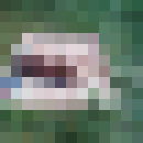  ,   , 50 ,   