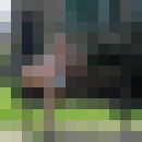  ,   , 32 ,   