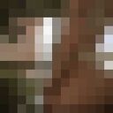 ���������� �������, ���� ������� �����, 24 ����, ������������ ��� ������, ����� � ���������