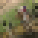  ,   , 30 ,   ,   