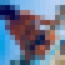 ���������� ������, ���� ������� ��������, 28 ���, ������������ ��� ������, ����� � ���������