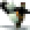 ���������� �������, ���� ������� ������, 44 ����, ������������ ��� ������