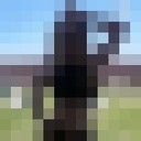 ���������� ������, ���� ������� ������, 29 ���, ������������ ��� ������, ����� � ���������, c�������� ���������