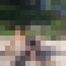  ,   , 37 ,   