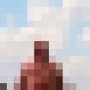  ,   , 55 ,   