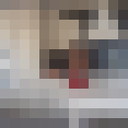 ���������� ��������, ���� ������� ����, 44 ����, ������������ ��� ������